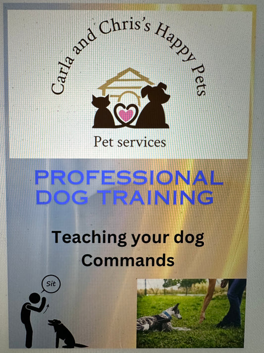 Professional Dog Training Booklet - Teaching your dog commands